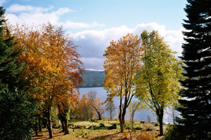 Garten im Herbst